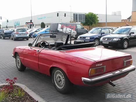 Alfa Romeo spider 1750 - SOLGT - - og igen.. billede 3