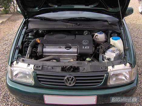 VW Polo (Open Air) billede 8