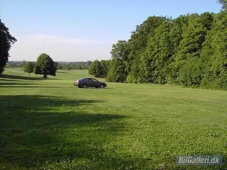 Toyota Carina E RIP billede 6