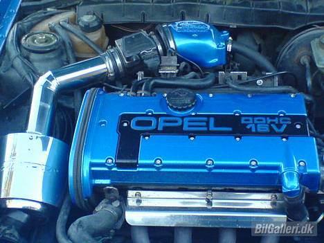 Opel Vectra 2000 - Motor rum billede 5