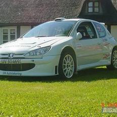 Peugeot 206 super1600