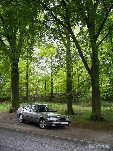 Saab 9-3 2.0t Jubi - Det gjorde godt med en gang lakforsegling! :) - Billedet er taget d. 16/5-06 af undertegnede! :) billede 17