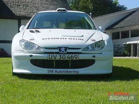 Peugeot 206 super1600 billede 2