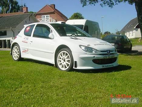 Peugeot 206 super1600 billede 9