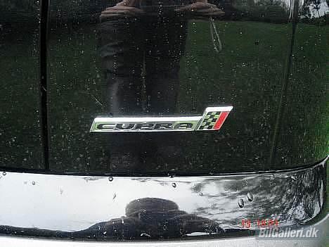 Seat IBIZA CUPRA 1.8T SOLGT - spansk temperamant billede 12