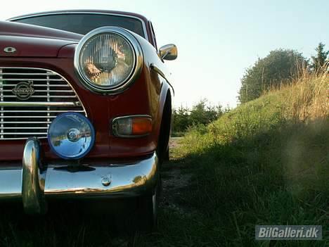 Volvo 121 Amazon - Frøperspektiv billede 7