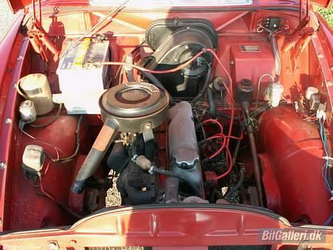 Volvo 121 Amazon - Stalden. Her hestene hører hjemme ;) billede 12