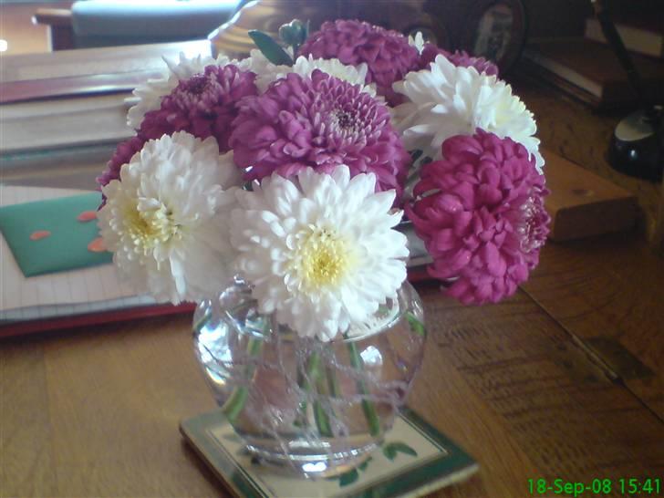 Blomster Buketter - Chrysantemum fra egen have sommeren 2008 billede 3