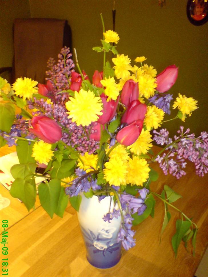 Blomster Buketter - Fødselsdags-buket fra Svorger og Svigerinde. Alt er fra haven. Super flot :-) billede 7