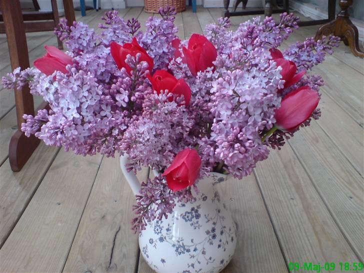 Blomster Buketter - Lilla syrener fra afdelingen, og røde tulipaner fra Svigerinde. billede 8