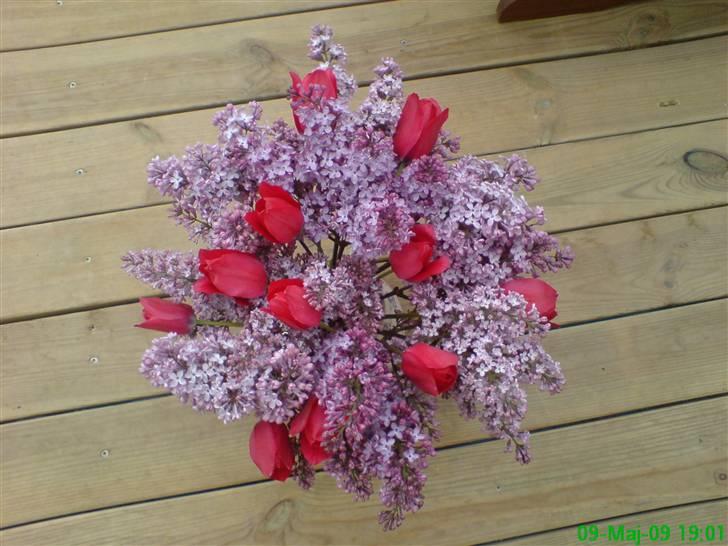 Blomster Buketter - Samme buket igen, set ovenfra..... billede 9
