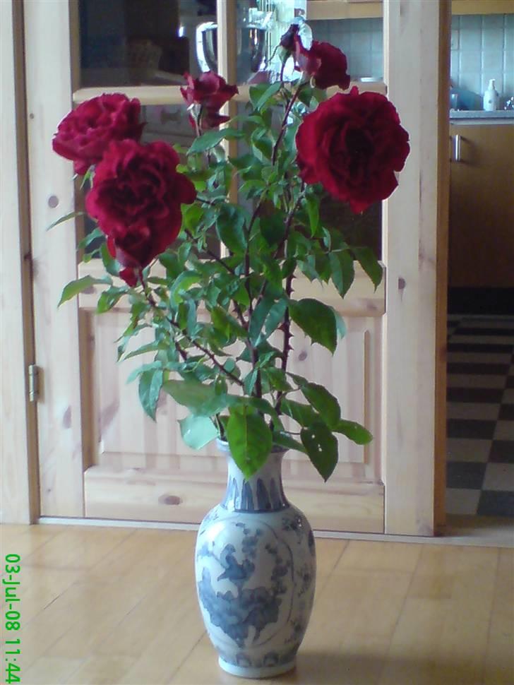Blomster Buketter - En kæmpe rose, fra en have...... billede 12