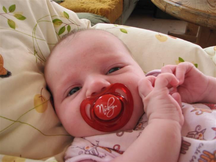 Vores dejlige Ida-pigen - Eeeeeeeeeeellllllllllllllllllllllllllssssssssssssssssssskkkkkkkkkkkkkkkkkkkkkkeeeeeeeeeeeeeeeeeeeeerrrrrrrrrrrrrrrrrrrrrrrrrrrrrrrr min sut..... billede 26