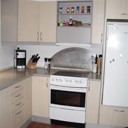 Køkkenprojekt februar 2010