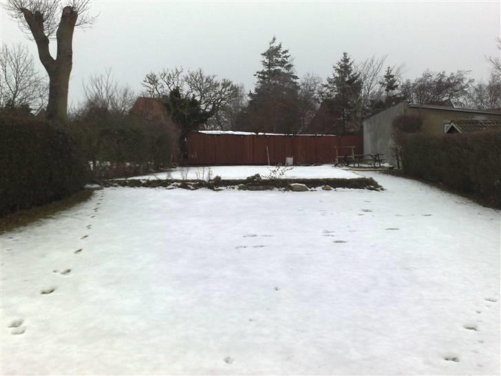 Have ideér - Igen fra huset´s ende. billede 6