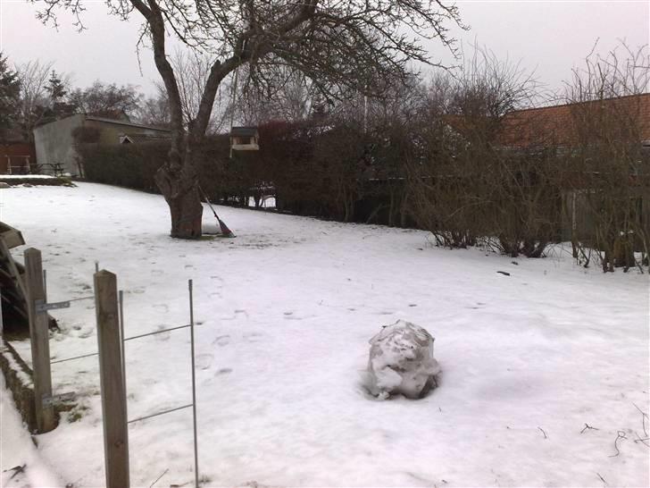 Have ideér - Sne sne, og en stor isterning. billede 8