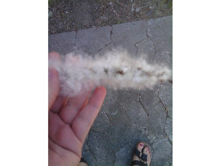 {{currentPhoto.altText}} billede {{currentPhoto.number}}