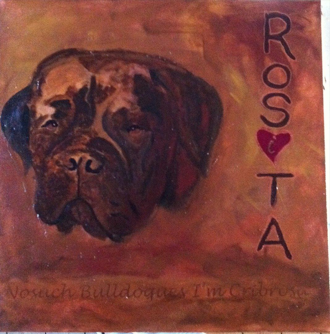 Mine malerier - Akryl på lærred
40x40 cm 
Privateje billede 1