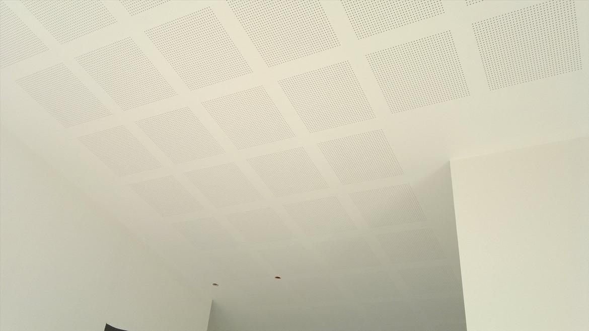 det jeg går og arbejder med tagrenser og tagmaler + maler billede 22