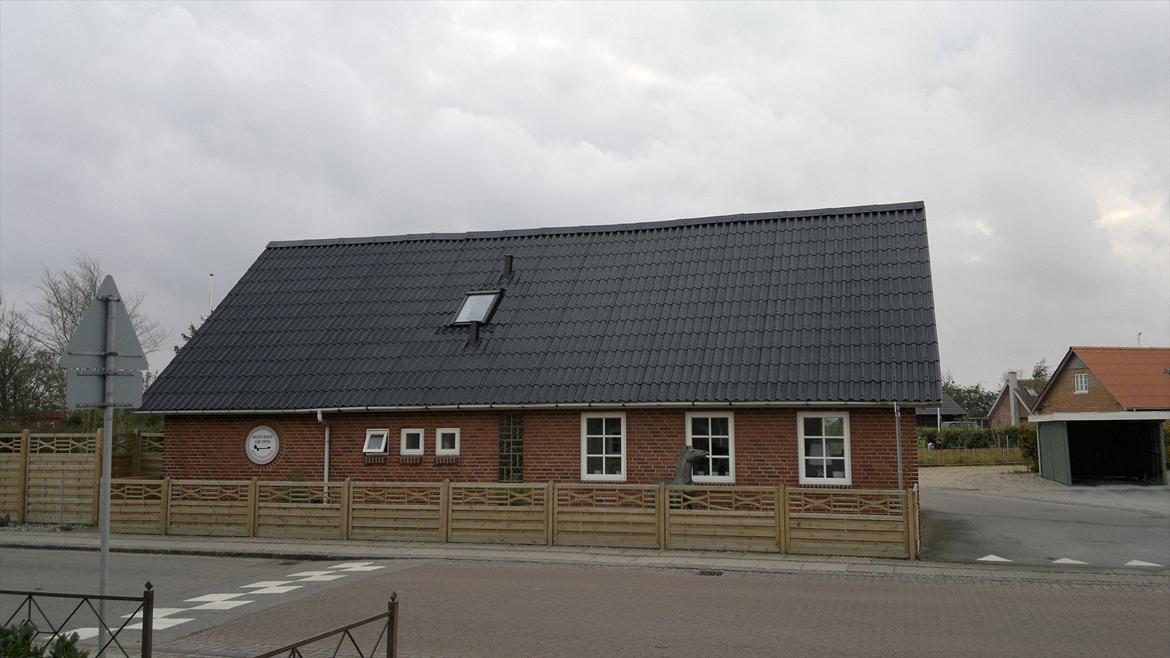 det jeg går og arbejder med tagrenser og tagmaler + maler billede 25