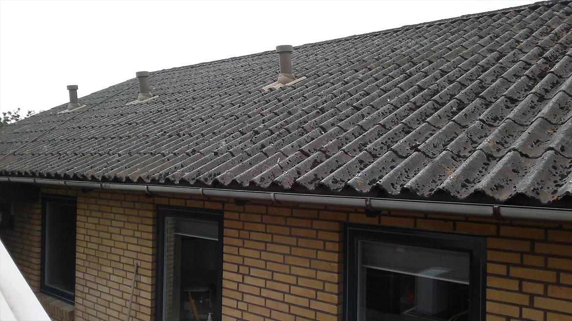 det jeg går og arbejder med tagrenser og tagmaler + maler billede 49