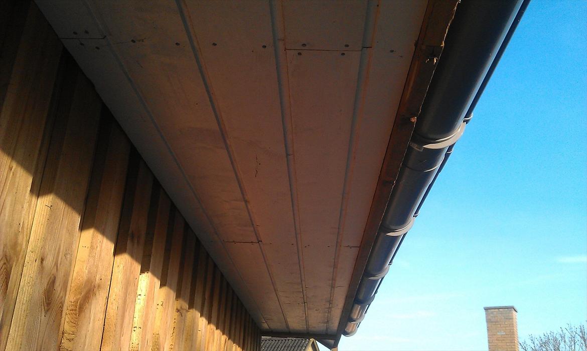 Hegn og garage billede 8