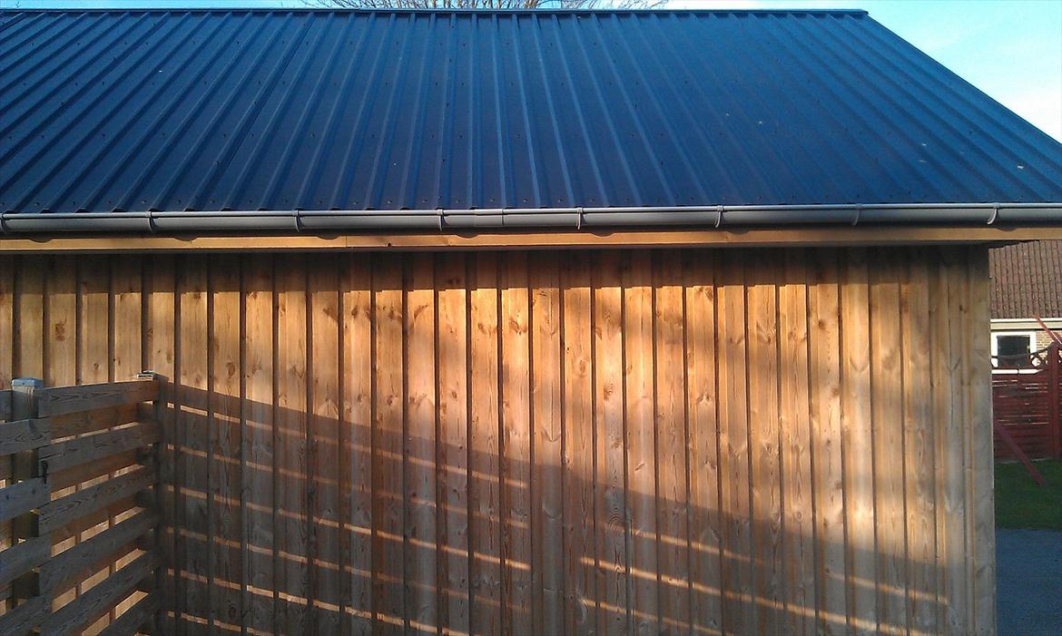 Hegn og garage billede 9