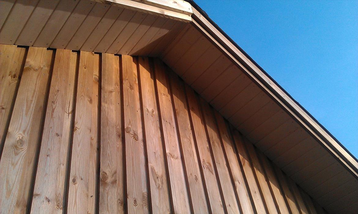 Hegn og garage billede 11