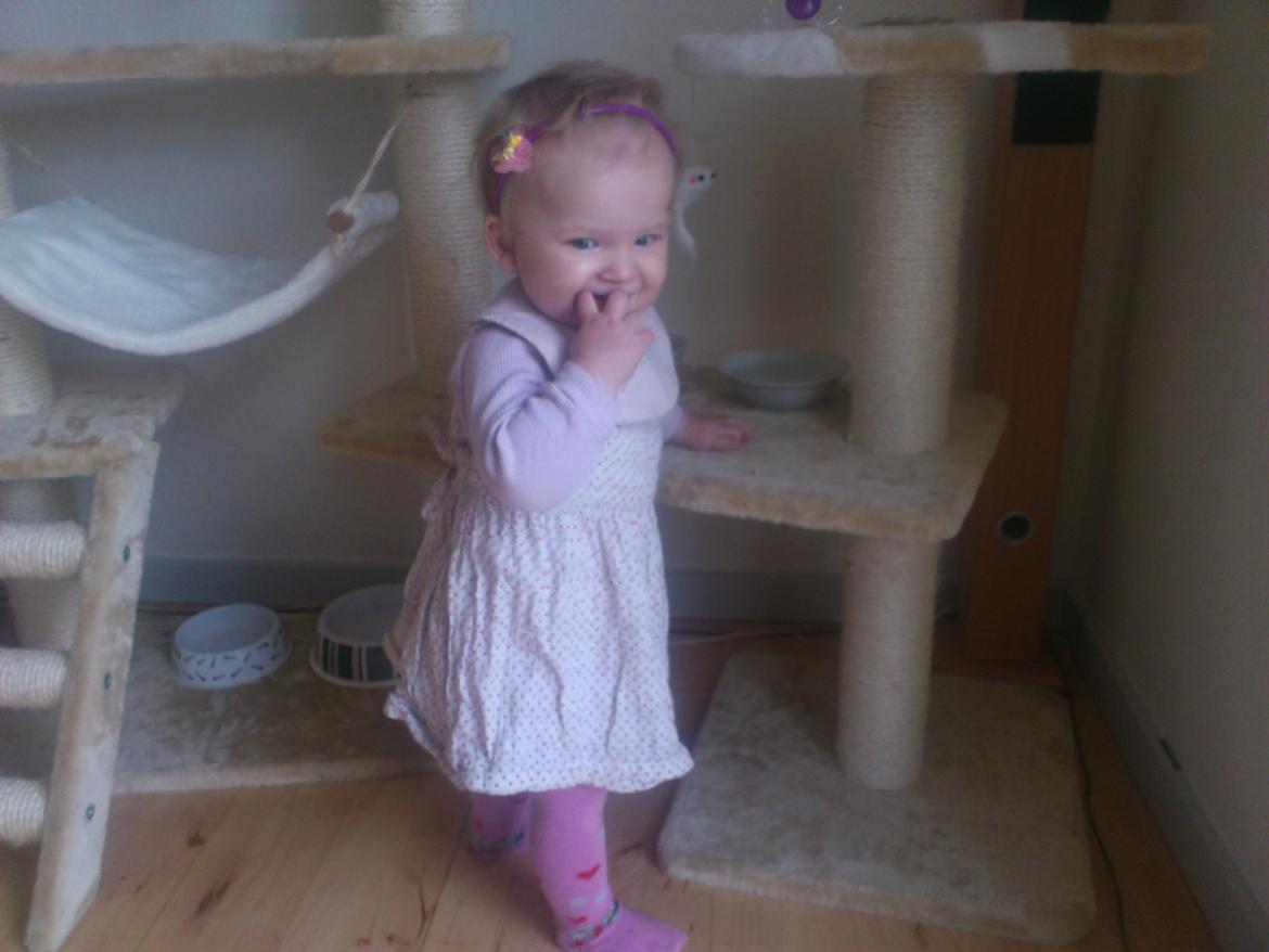 1 års fødselsdag. - Fødselsdags prinsessen, venter på gæsterne :) billede 1
