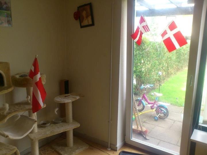 1 års fødselsdag. - 1 års fødselsdag. billede 16
