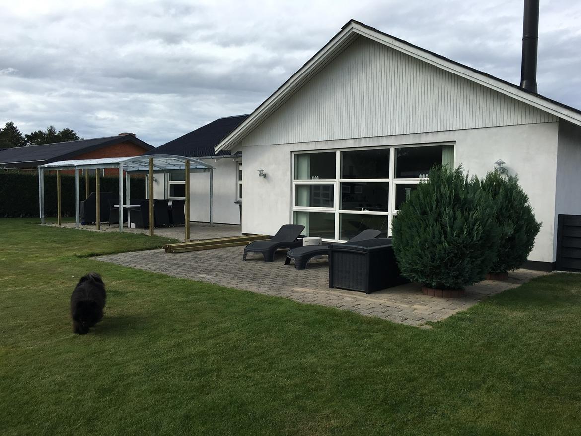 Overdækket terrasse  billede 4