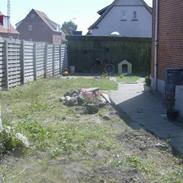 Villa 6