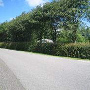 Landejendom 6