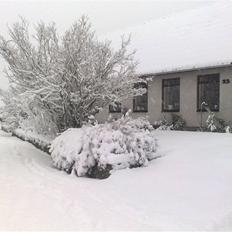 Villa 6