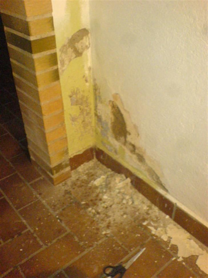 Lejlighed 2 - Under "Opbygning" billede 11