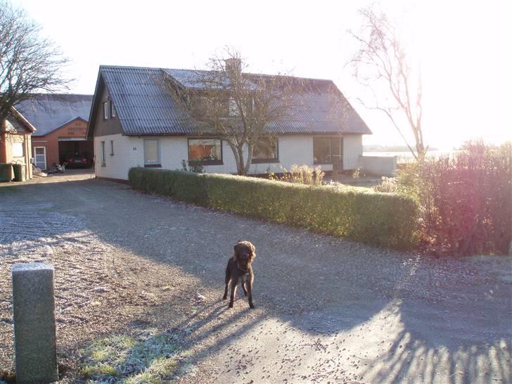 Landejendom 5 - Vores hus set fra den ene indkørsel billede 1