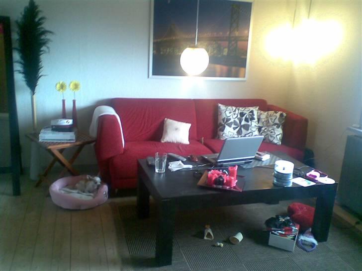 Lejlighed 2 - Bare se bort fra roddet.. ;) billede 2