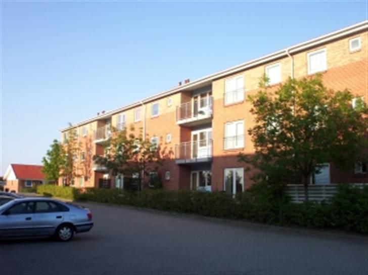 Lejlighed 3 billede 12