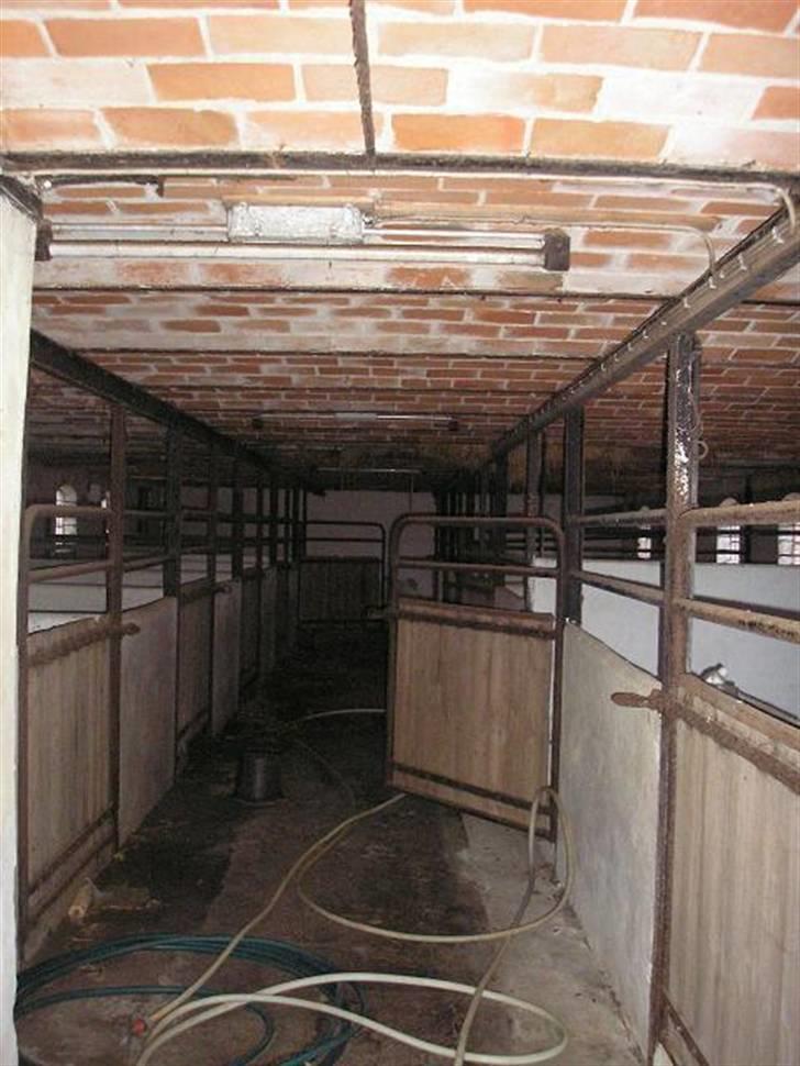 Landejendom  7 - Stalden billede 4