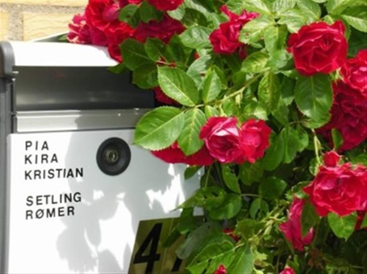 Landejendom 7 billede 1