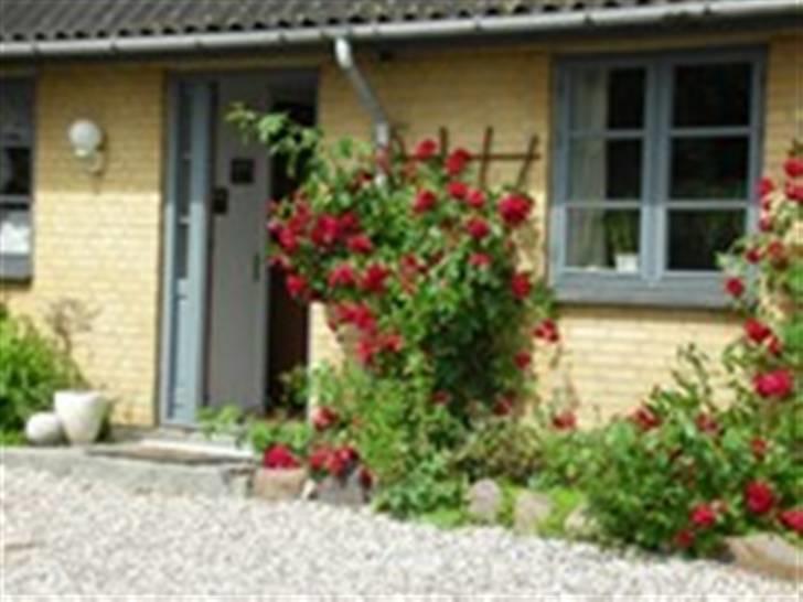 Landejendom 7 - indgangen billede 2