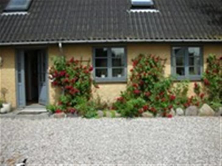 Landejendom 7 - bedet billede 3