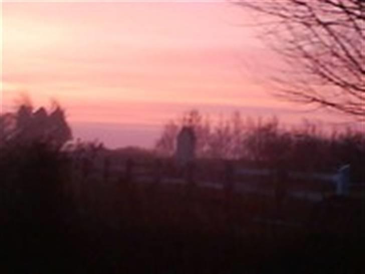 Landejendom 7 - solnedgangen billede 5