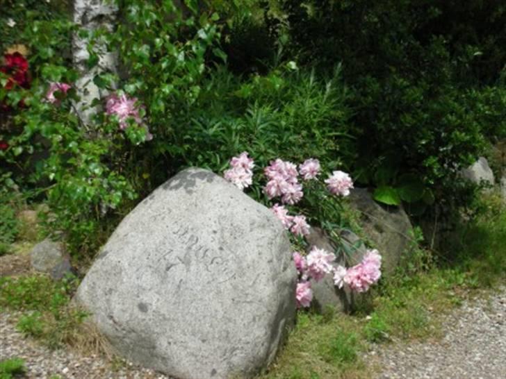 Landejendom 7 - stenen hvor der står Bakkely, men kan ikk helt ses. billede 7