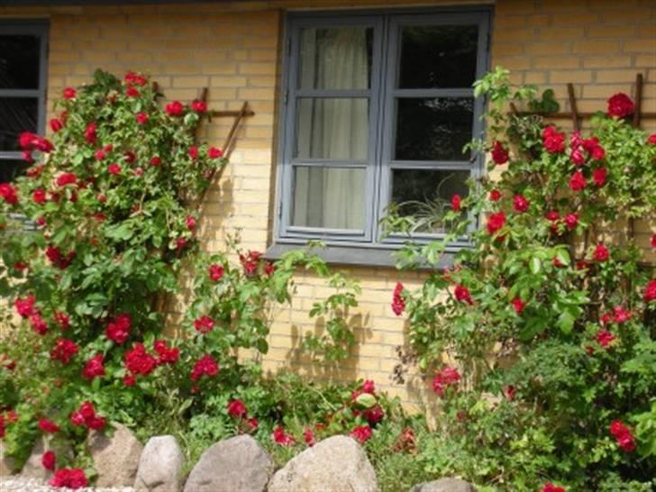 Landejendom 7 - bedet billede 8