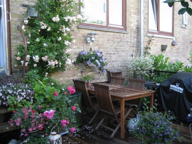 Lejlighed 2 billede 1