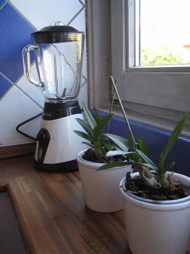 Lejlighed 2 billede 7