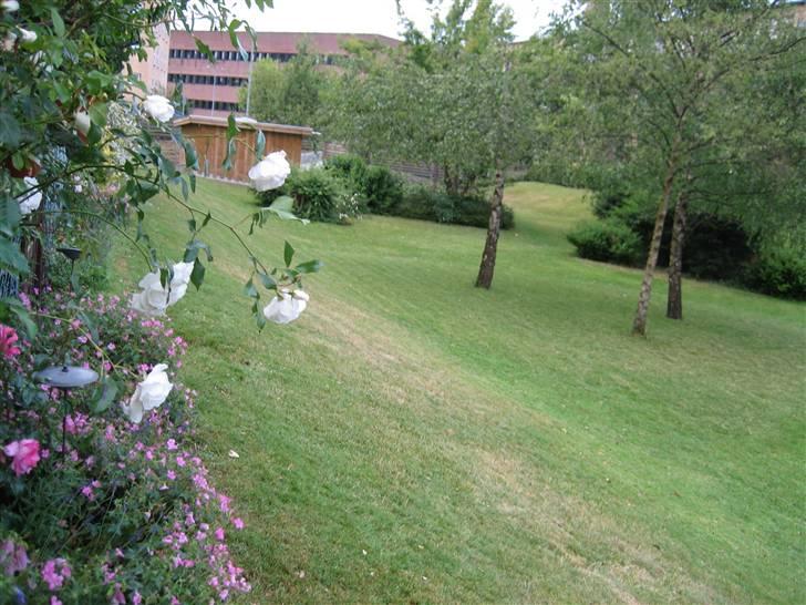 Lejlighed 2 billede 19