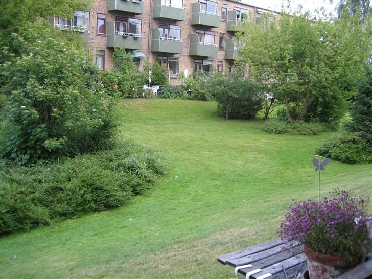 Lejlighed 2 billede 20