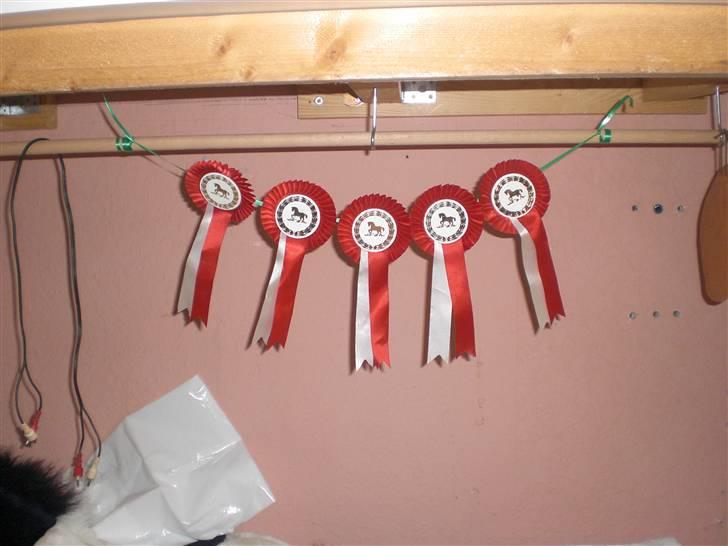 Ungdomsværelse 1 billede 10